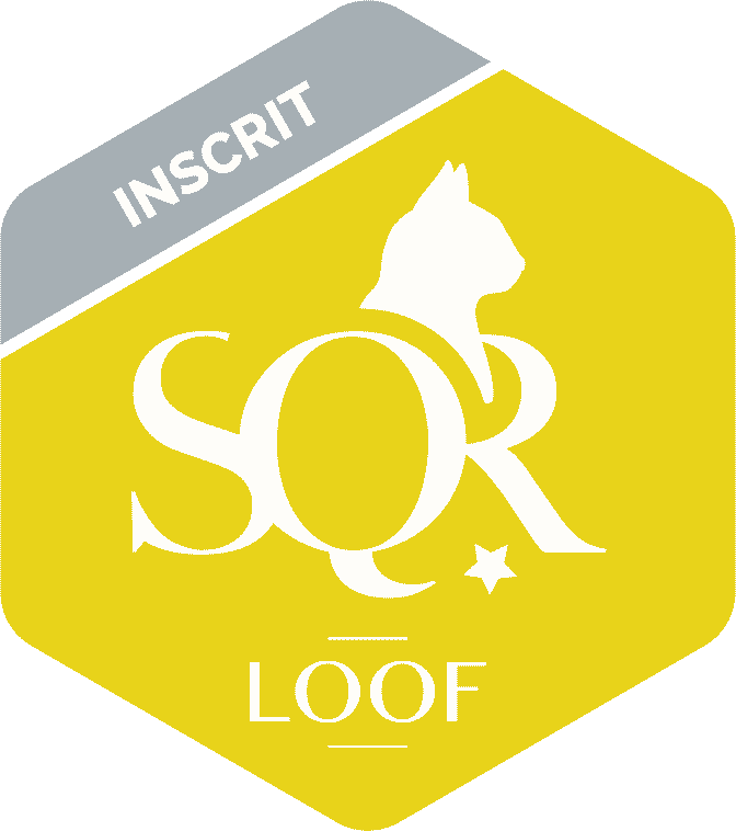 logo SQR N1