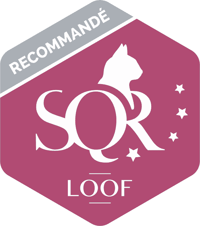 logo SQR N4