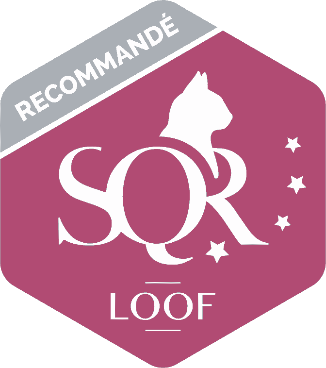 SQR 4