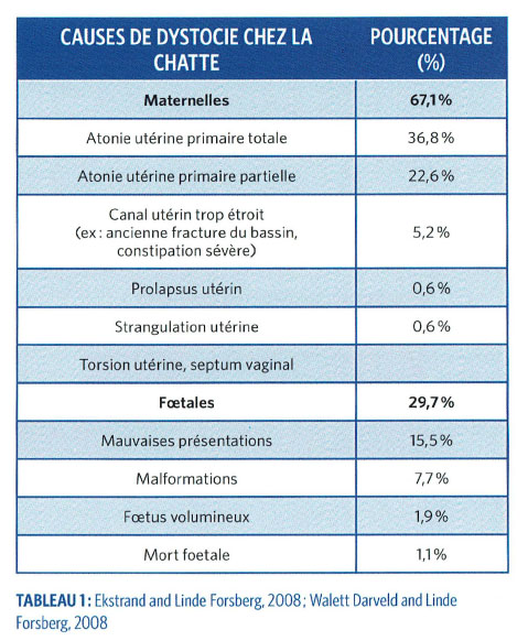 Tableau 1 mise bas