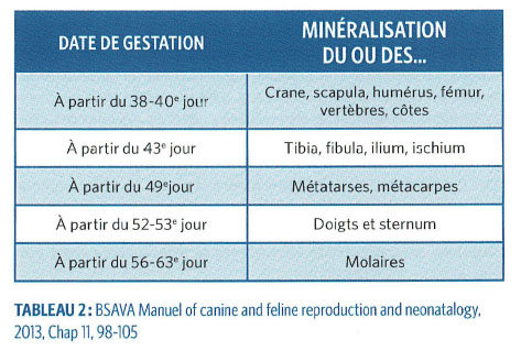 Tableau 2