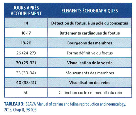 Tableau 3