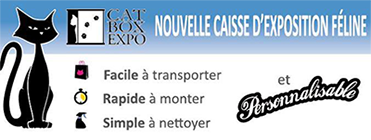 bandeaucatbox
