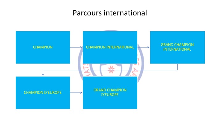 parcours international